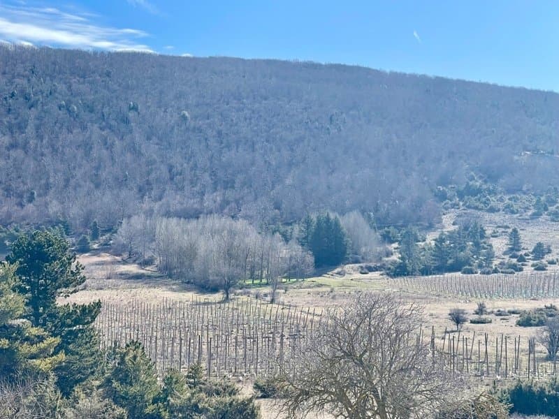 Château With Renovation Potential Surrounded By 100 Hectares Of Nature 4