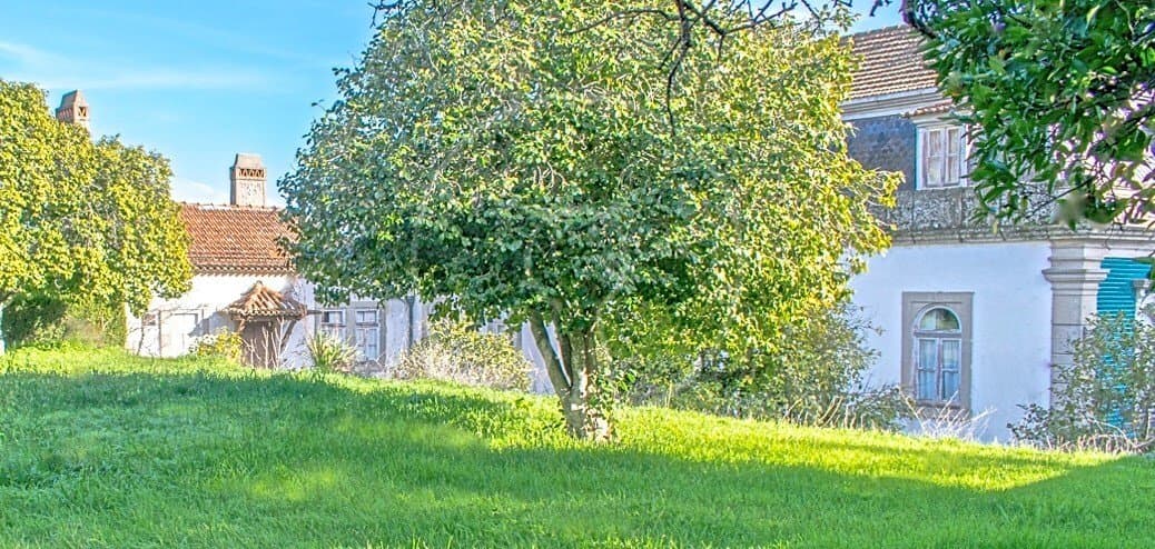 Magnificent 20th Century Palace With 26 Rooms And Expansive Garden 3