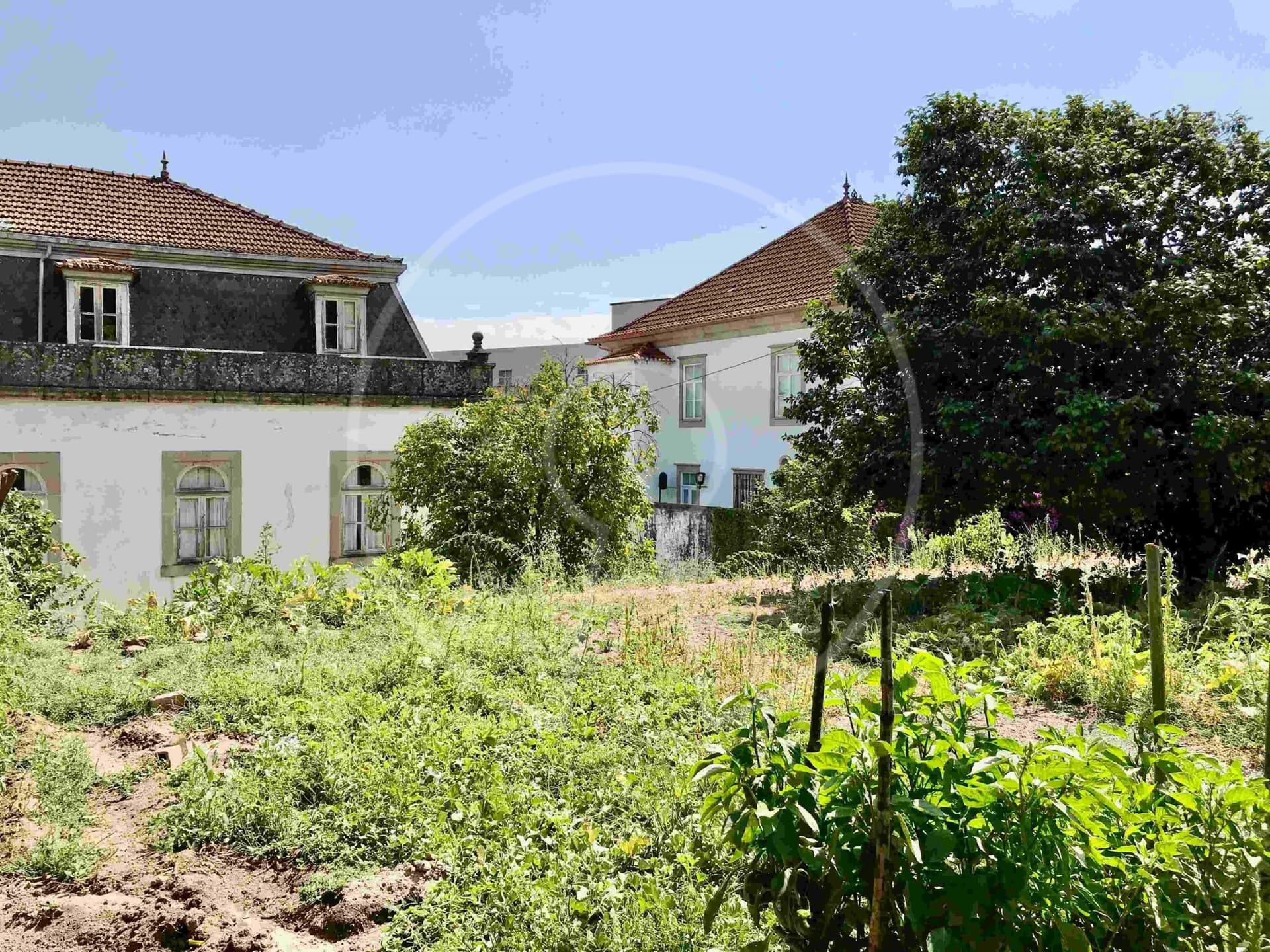 Magnificent 20th Century Palace With 26 Rooms And Expansive Garden 4