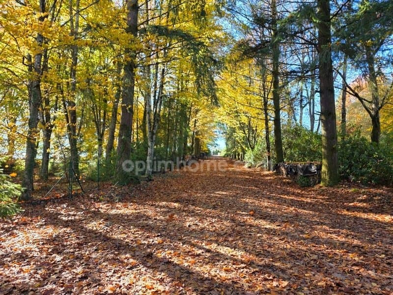 Charming Castle With Gîtes Set In 18 Hectares Of Peaceful Grounds 4