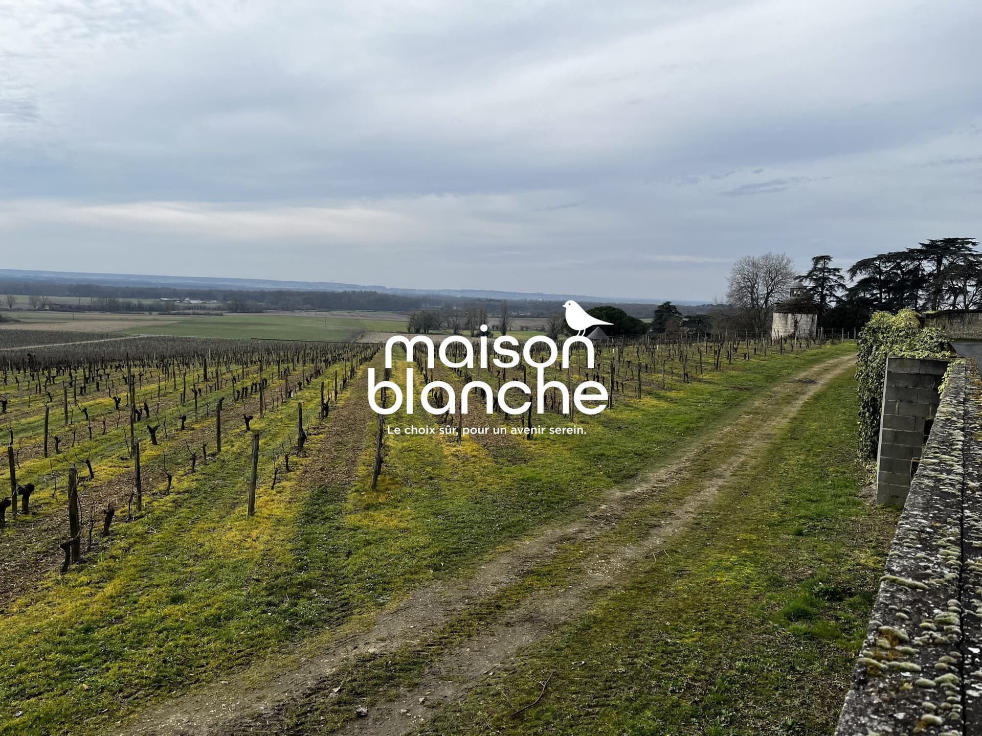 Exceptional Historic Castle with Wine Estate and Reception Hall 4