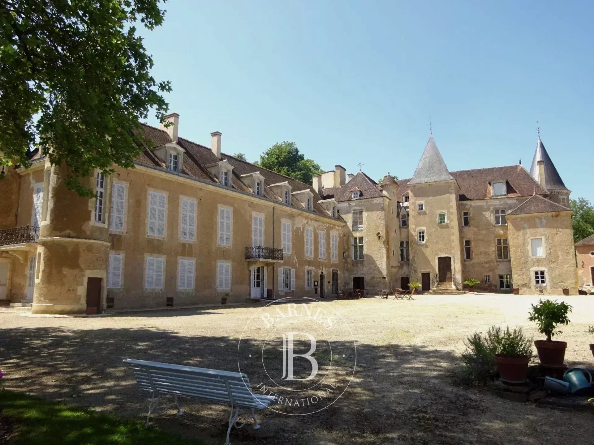 Historic Castle With 28 Bedrooms And Expansive Park 2