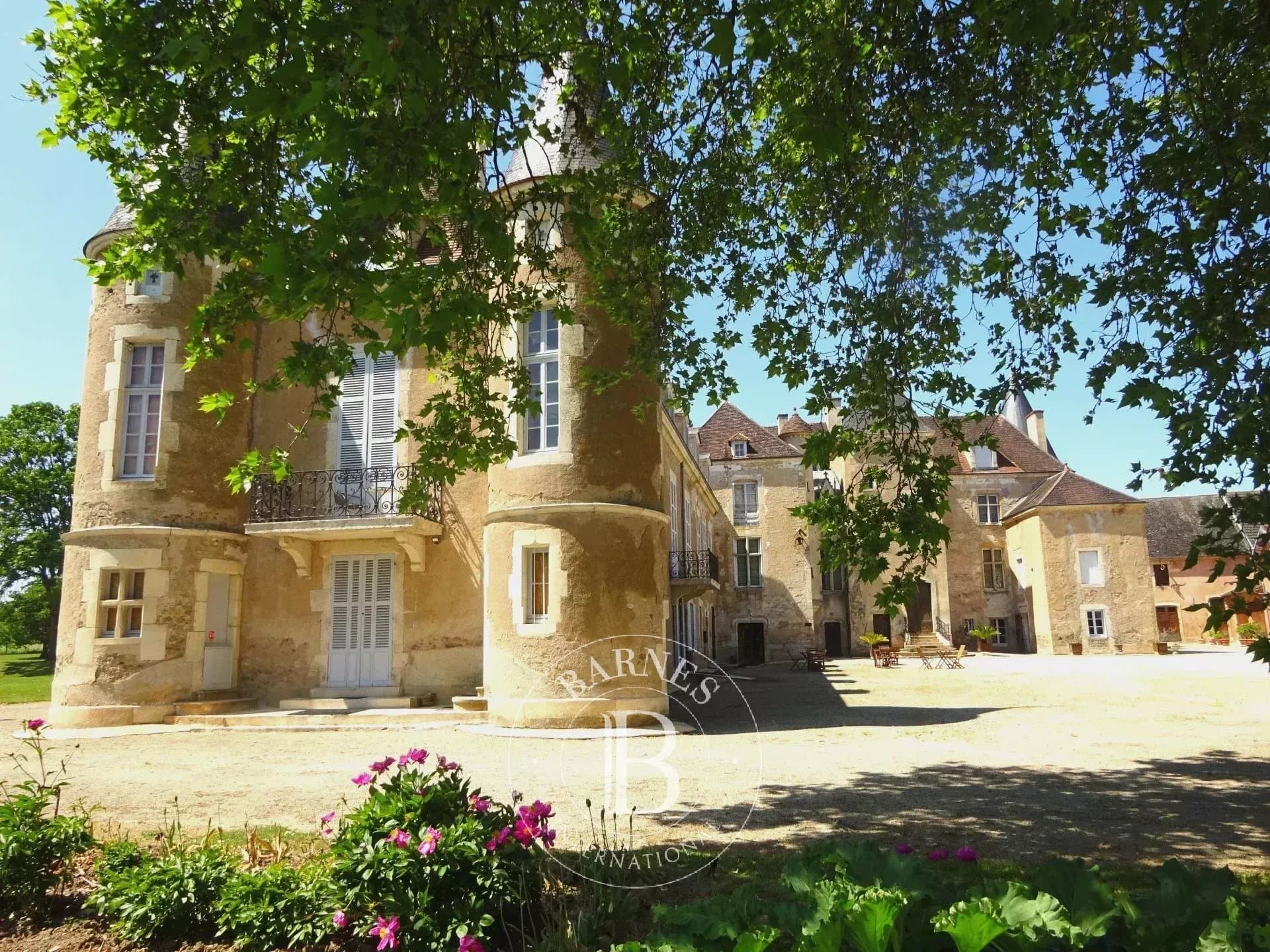Historic Castle With 28 Bedrooms And Expansive Park 3
