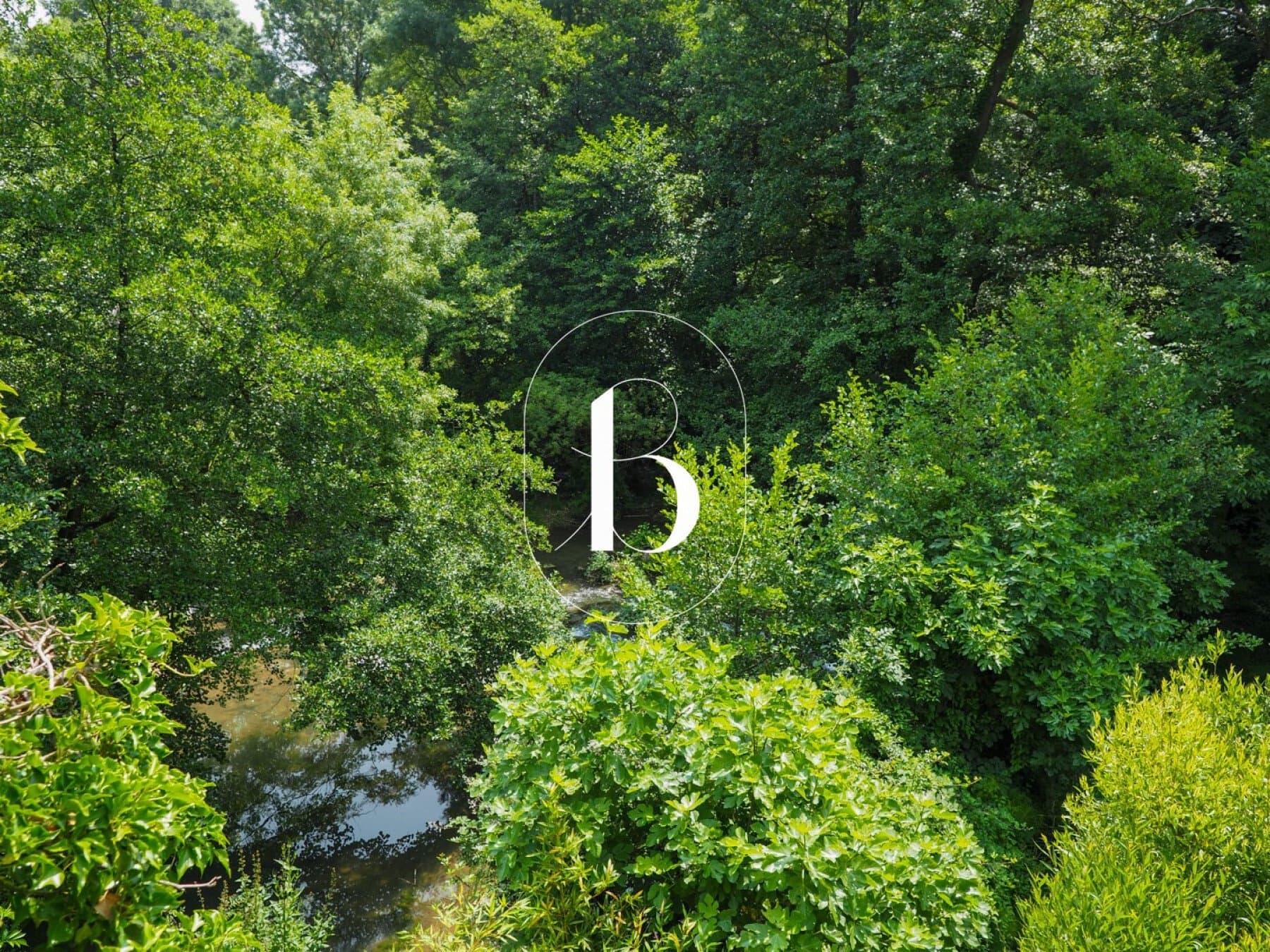 Exceptional 19th Century Château With Park And Water Mill 2