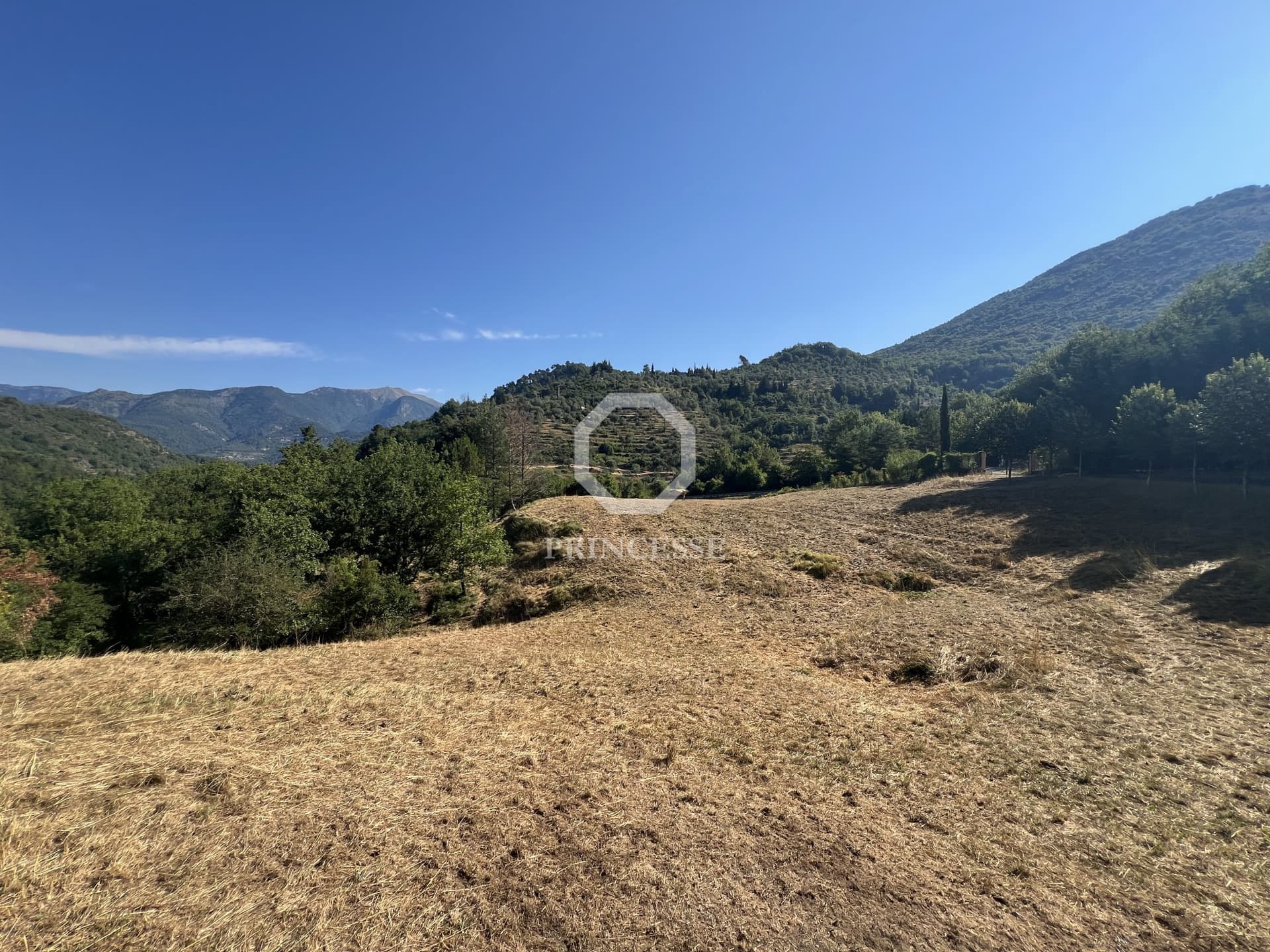 Charming Ranch With Guest Apartment And Horse Accommodation 4