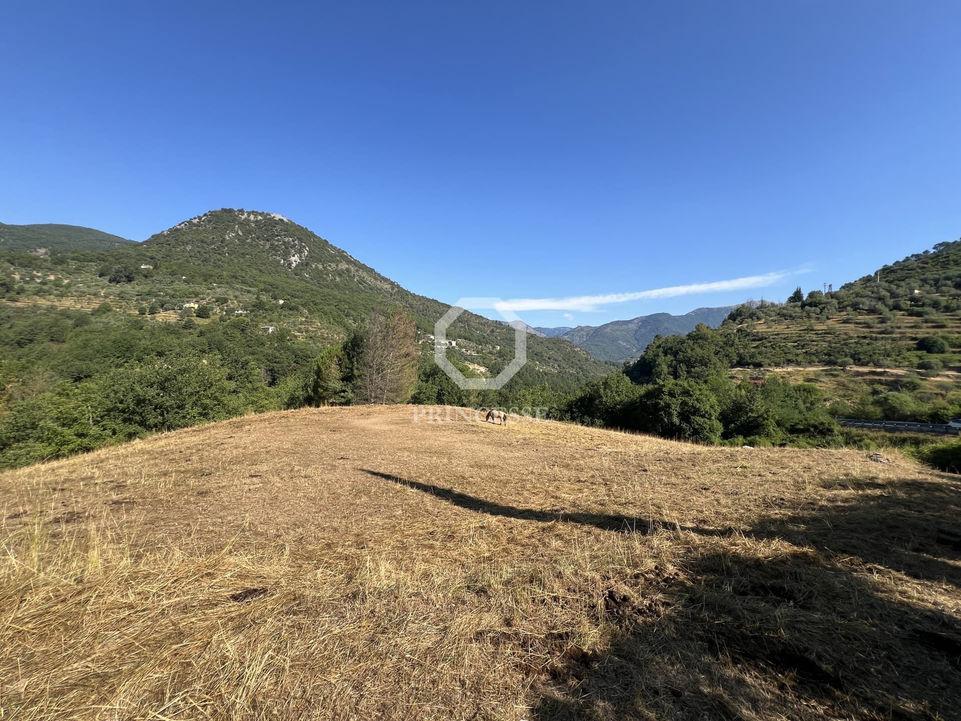 Charming Ranch With Guest Apartment And Horse Accommodation 5
