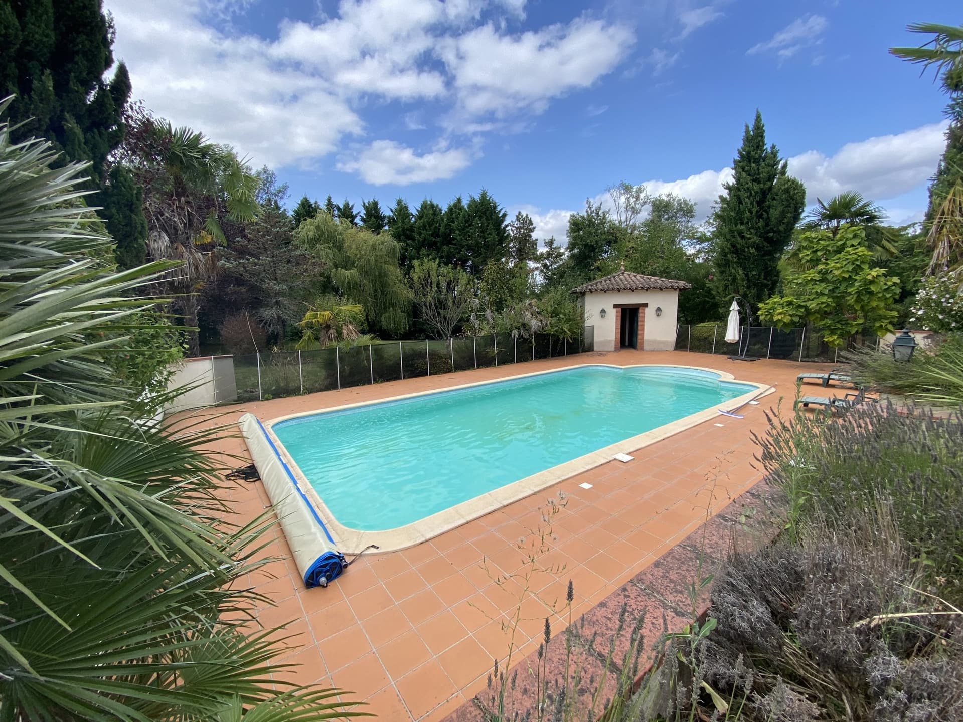 Charming Country House With Guest House, Pool And 13 Acres Of Land 4