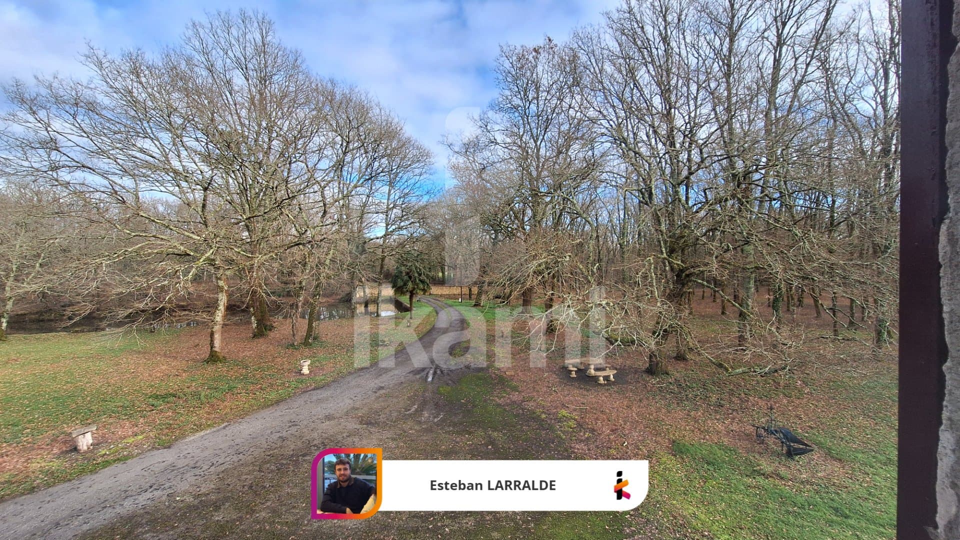 Elegant House with 372 Sqm Living Space in a 4-Hectare Oak Grove 4