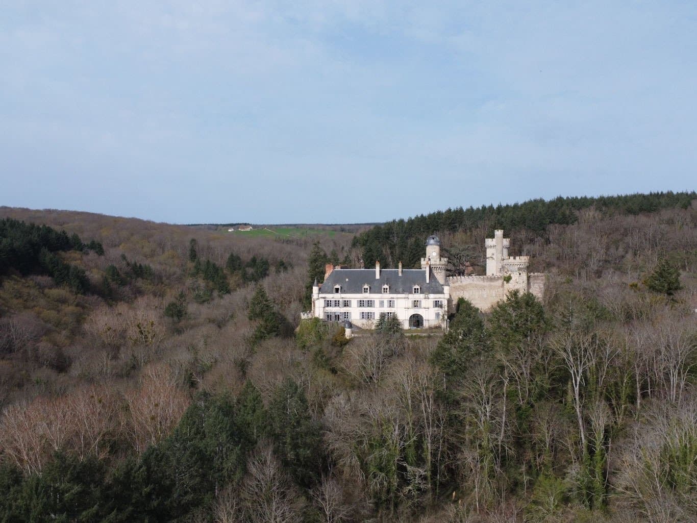 Historic Fortress of Veauce with 8.3 Hectares and Rich History 5