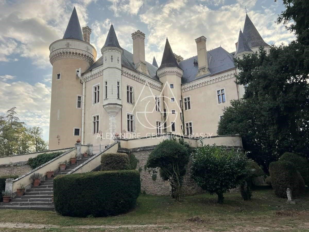 Spacious Castle With 50 Bedrooms And 25 Bathrooms — in Centre-Val de Loire, France