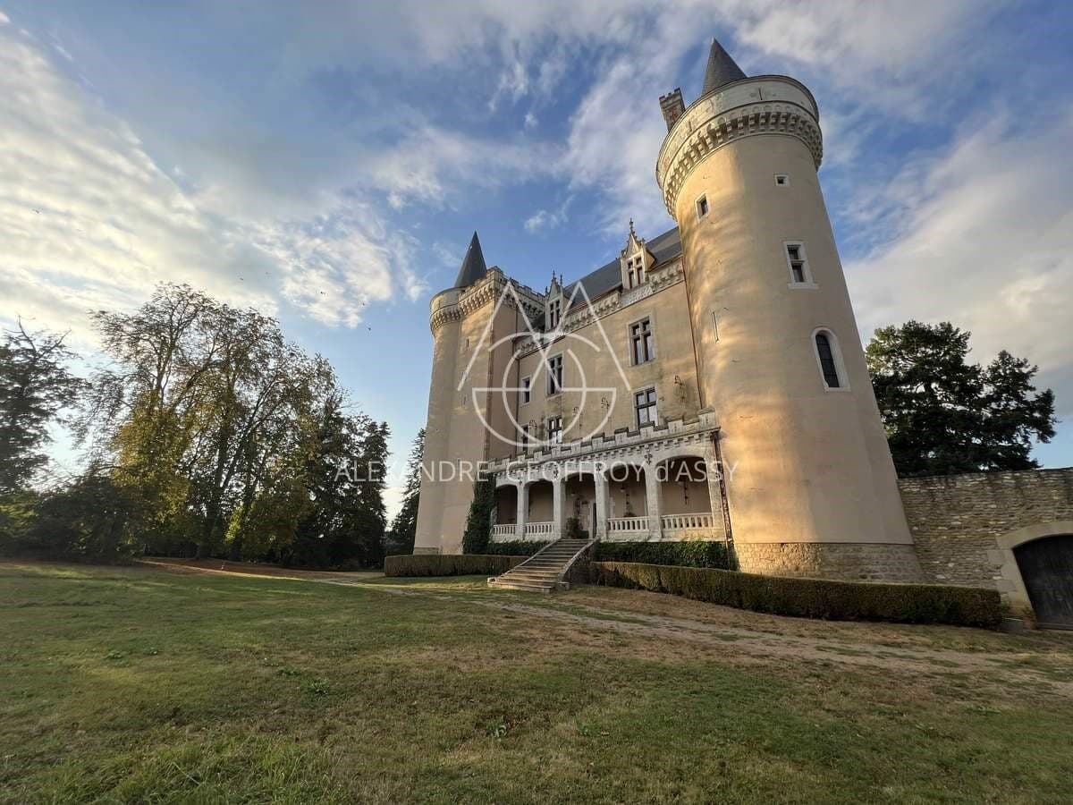 Spacious Castle With 50 Bedrooms And 25 Bathrooms 2