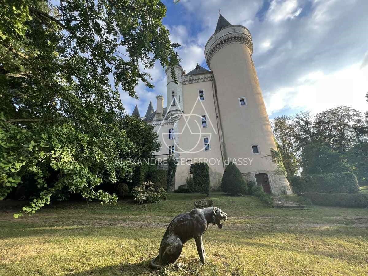 Spacious Castle With 50 Bedrooms And 25 Bathrooms 4