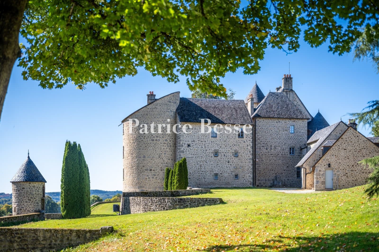 Spacious Castle with 11 Bedrooms and Swimming Pool 5