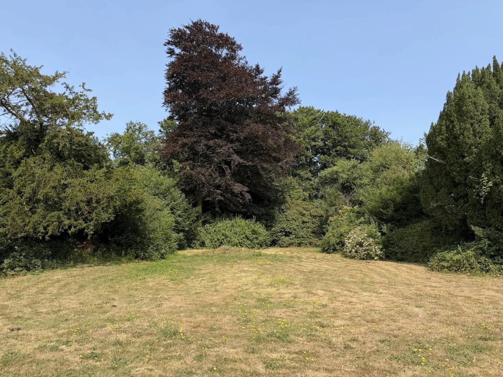 Spacious 18th Century Manor With Garden Near Étretat Beach 4