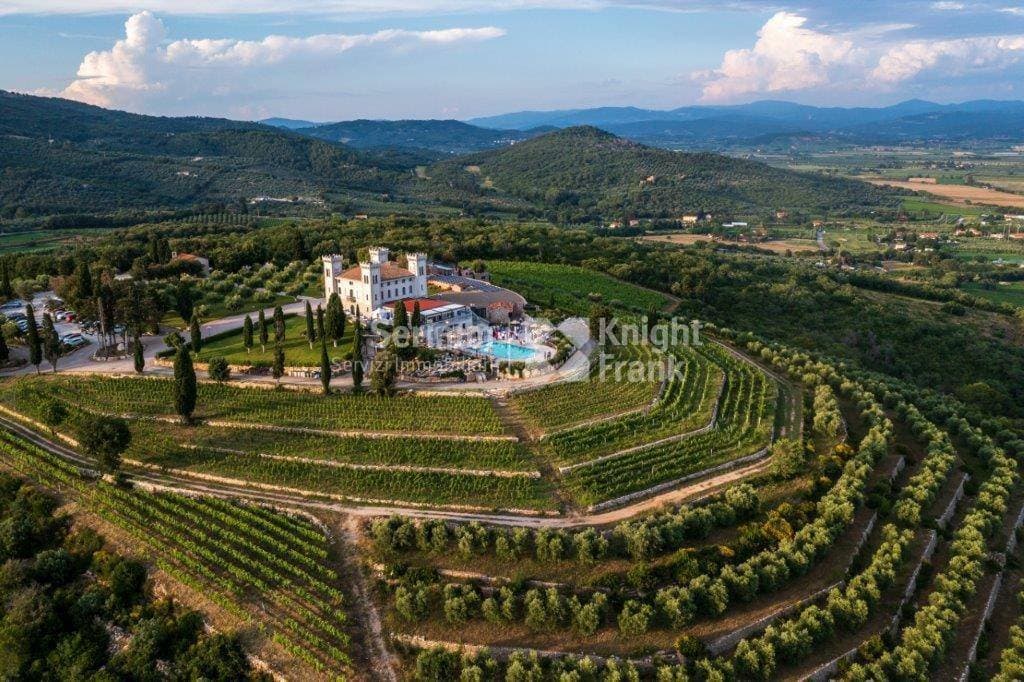Elegant 19th Century Château With Hotel, Spa, And Vineyard 5