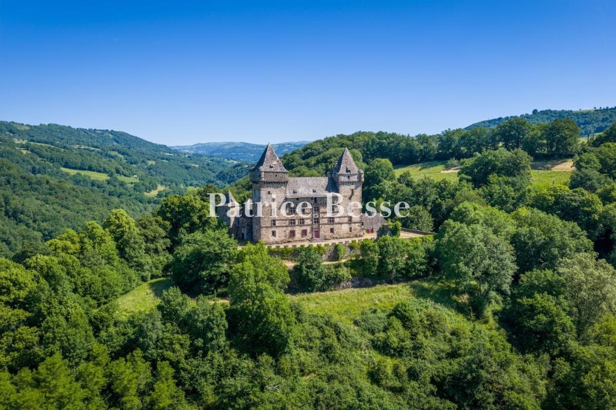 Castles for sale in Albi