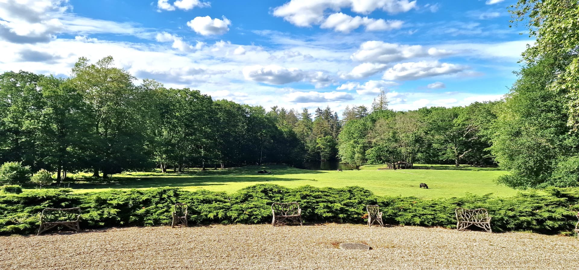 Spacious Castle with 1600 Sqm and 35 Rooms
