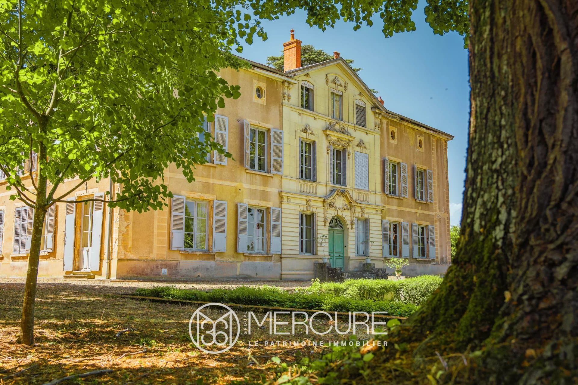 Elegant Castle with 690 Sqm Living Space and 7 Bedrooms Near Lyon
