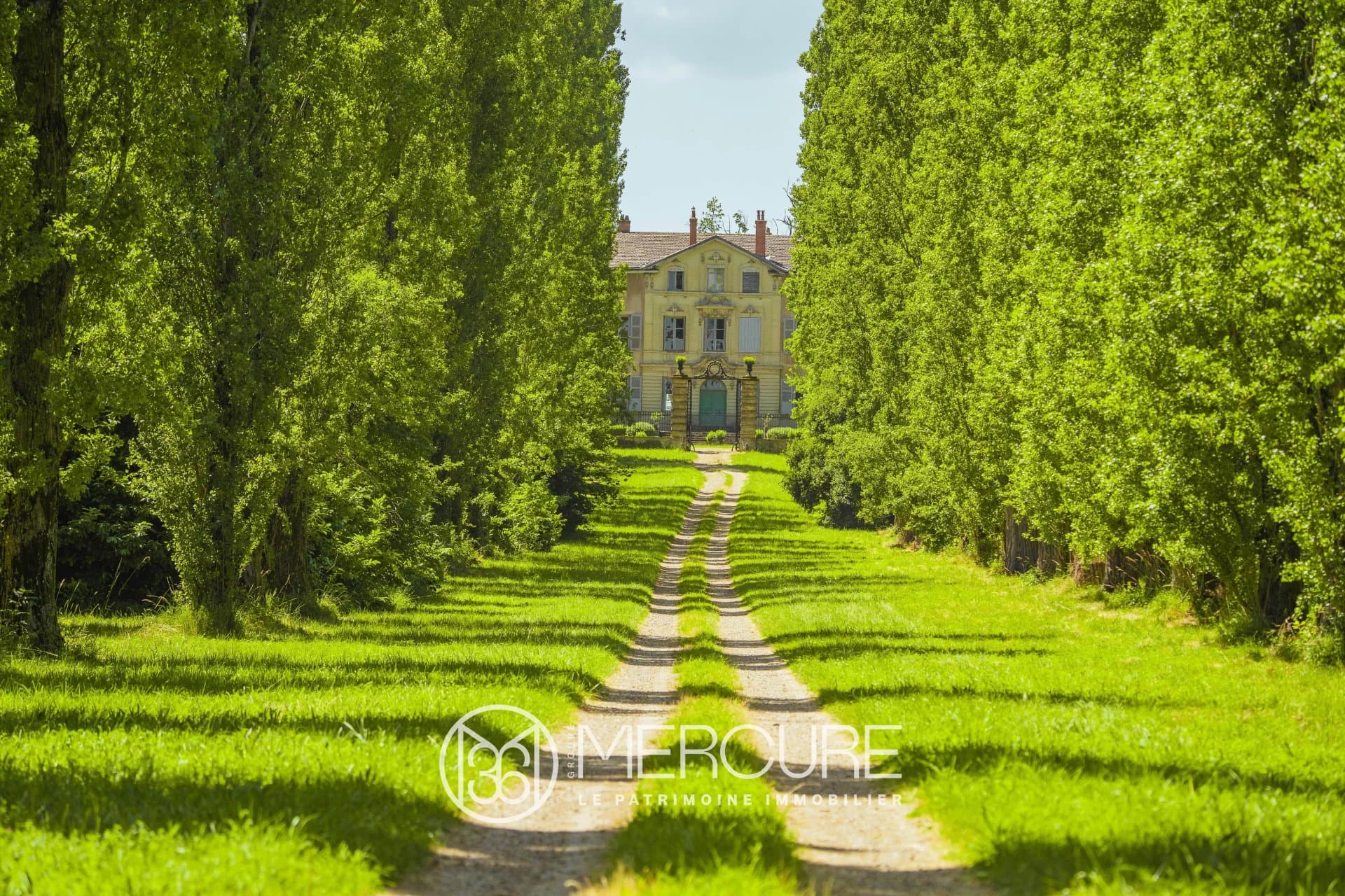Elegant Castle with 690 Sqm Living Space and 7 Bedrooms Near Lyon 2