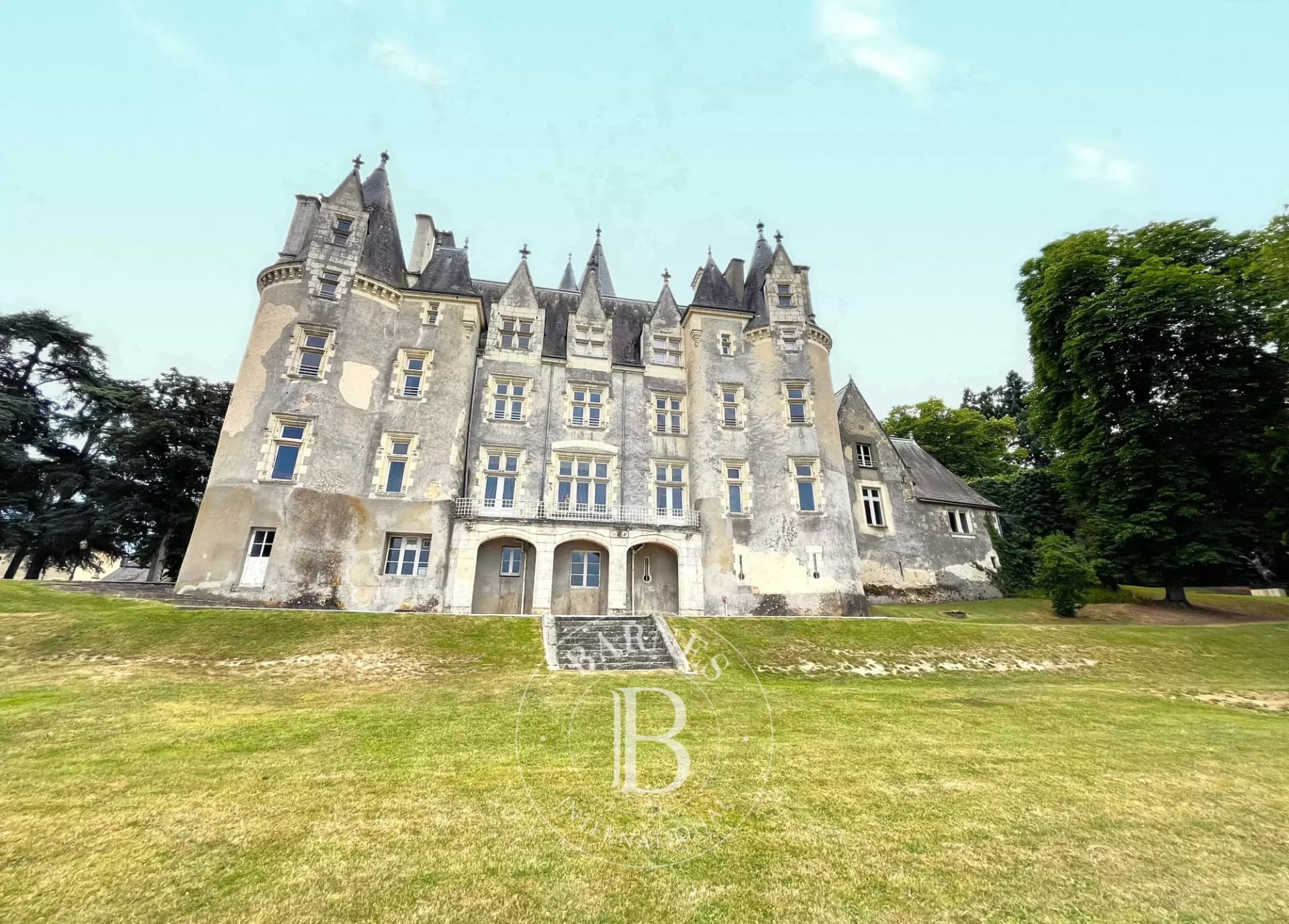 Exceptional Castle With Lush Park And Modern Amenities 3