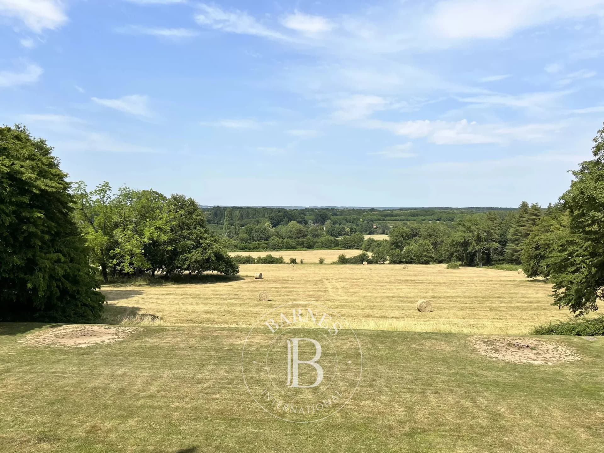 Exceptional Castle With Lush Park And Modern Amenities 5