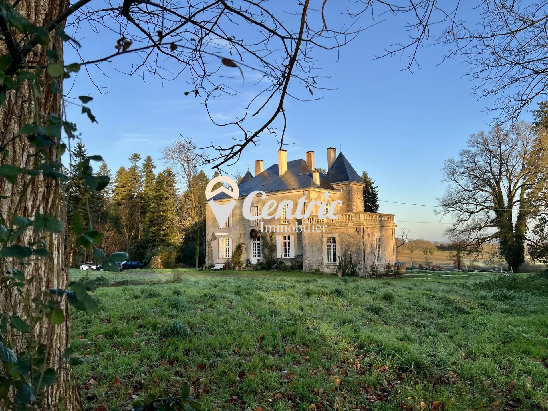 Elegant 19th Century Château With 6 Hectare Park And Horse Stalls 3