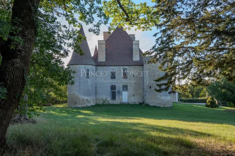 Historic Renaissance Château With Stunning Pyrenees Views