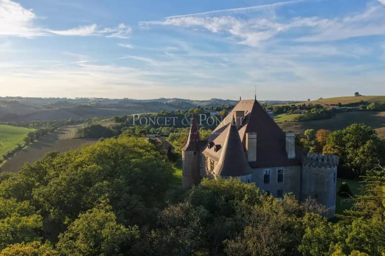 Historic Renaissance Château With Stunning Pyrenees Views 3