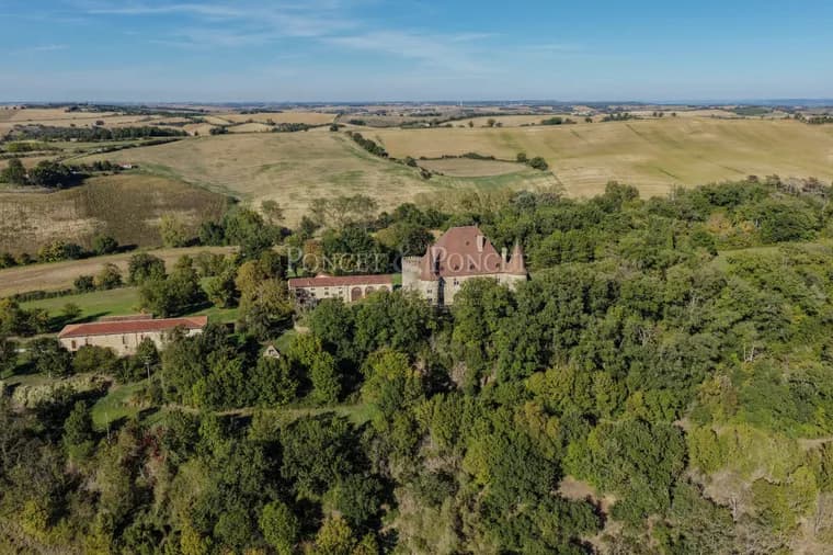 Historic Renaissance Château With Stunning Pyrenees Views 4