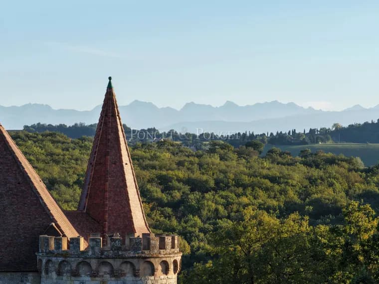 Historic Renaissance Château With Stunning Pyrenees Views 5