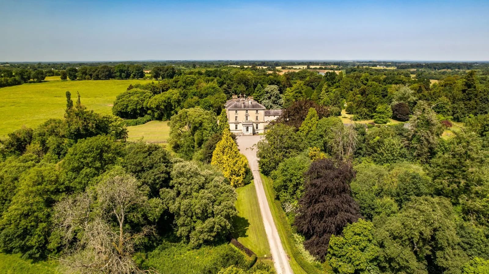 Exceptional Country Estate with Equestrian Facilities and 720 Acres 5