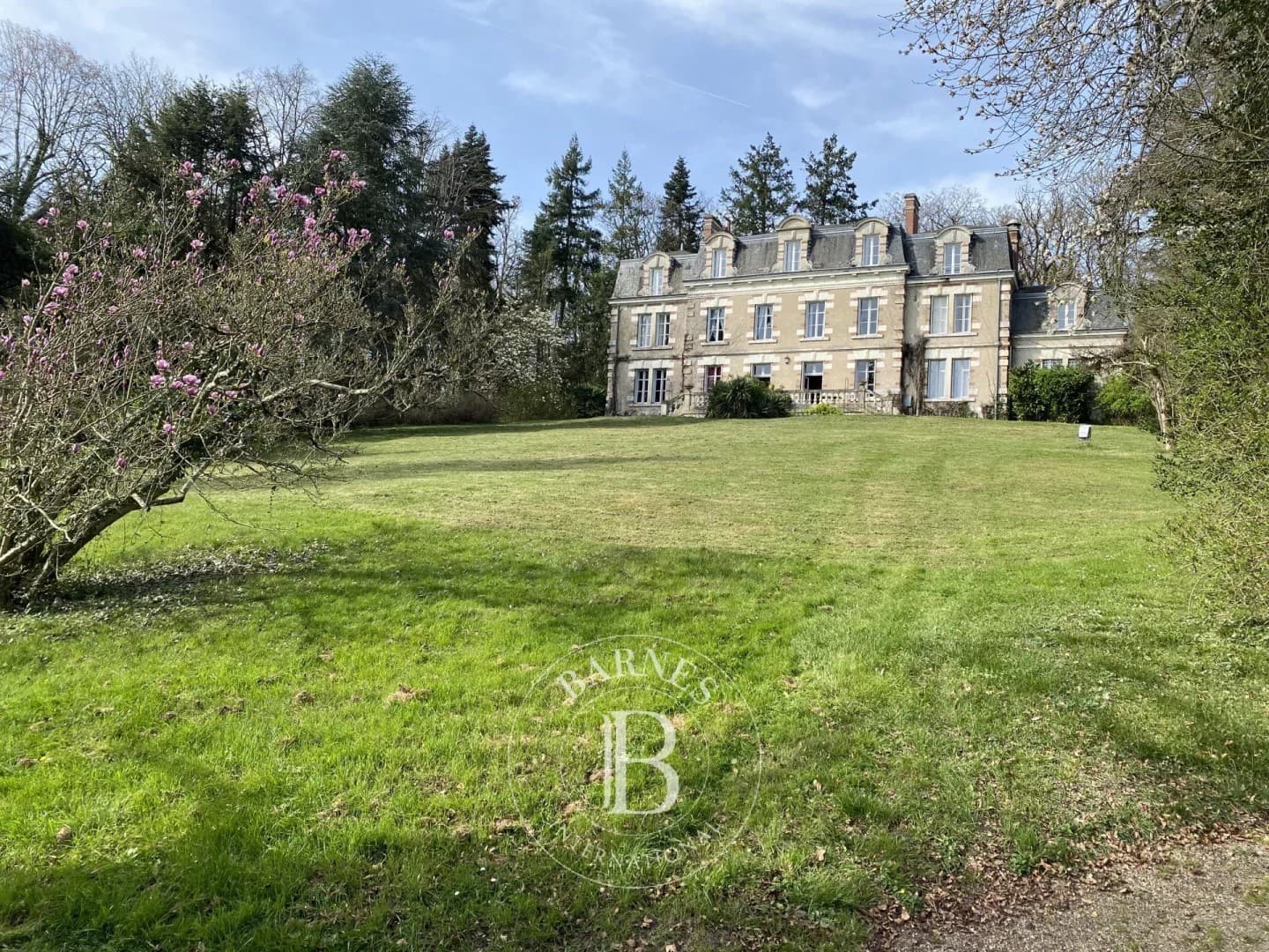 Charming 19th Century Castle With Expansive Grounds 4