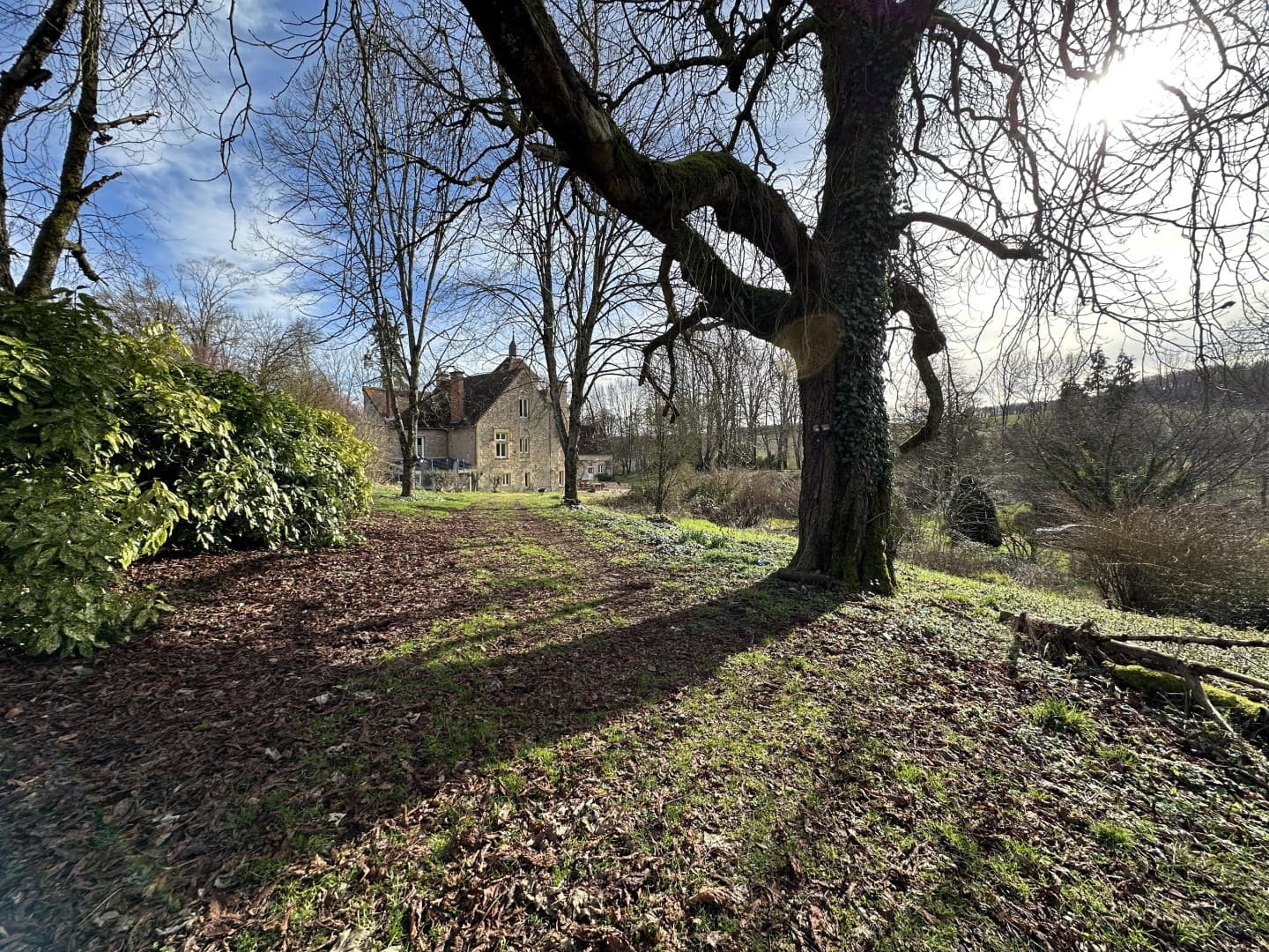 Elegant 19th Century Castle with Swimming Pool 4