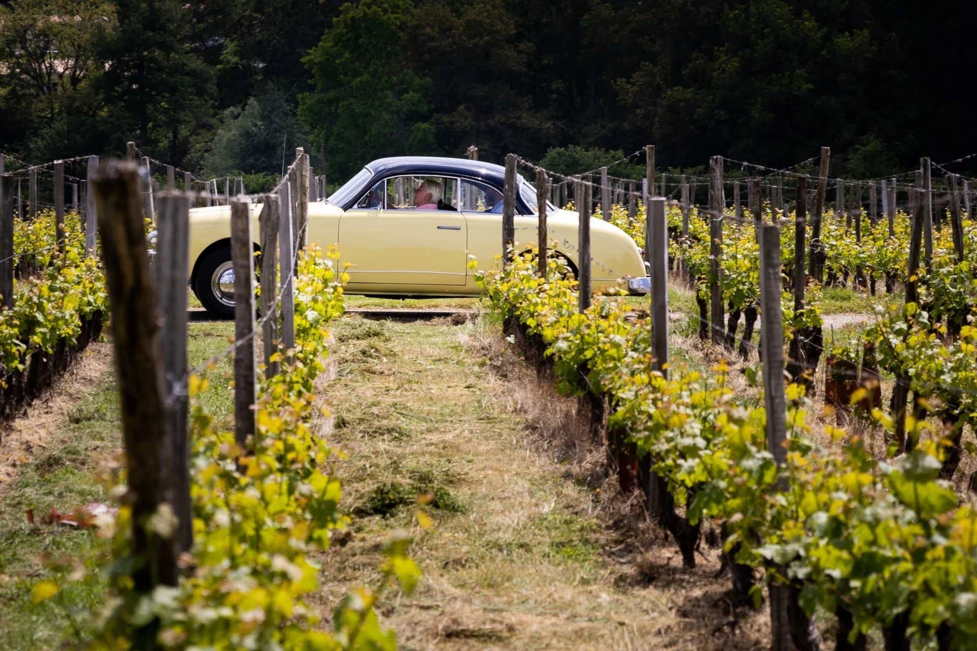 Exceptional Château With Vineyard And Hospitality Facilities 5