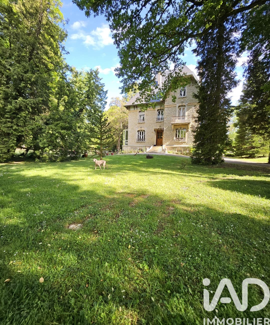 Castles for sale in Haute-Marne