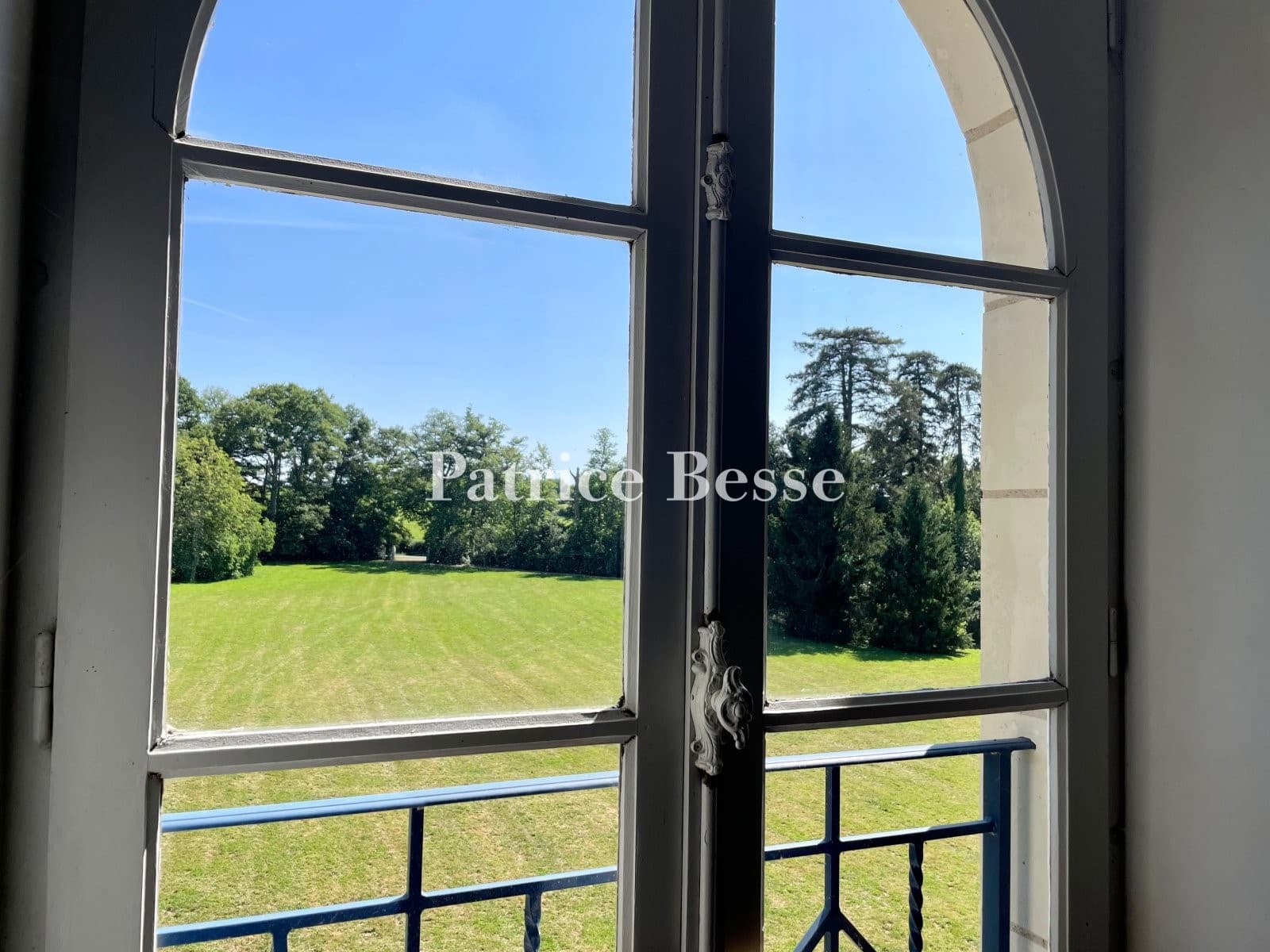 19th Century Château Surrounded By Expansive Meadows 5