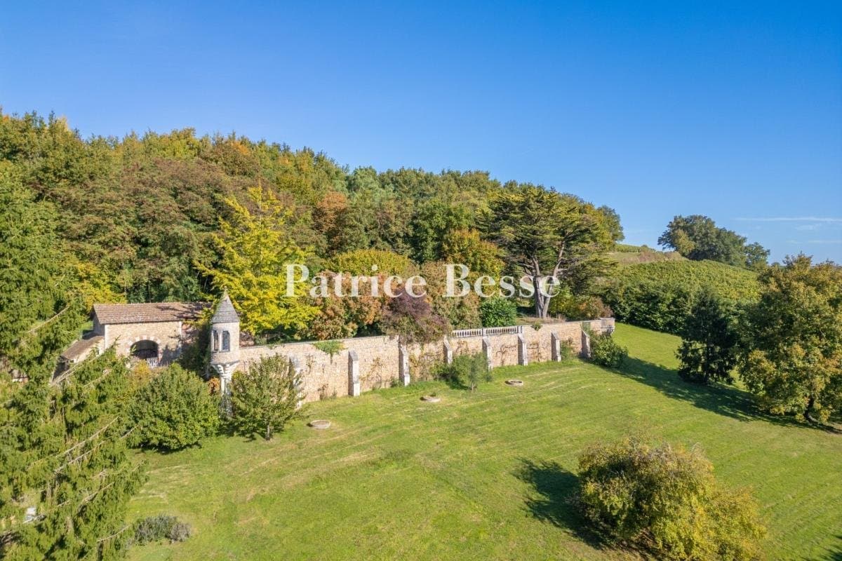 Neo-Gothic Château with Historical Monument Status in the Loire Valley 5