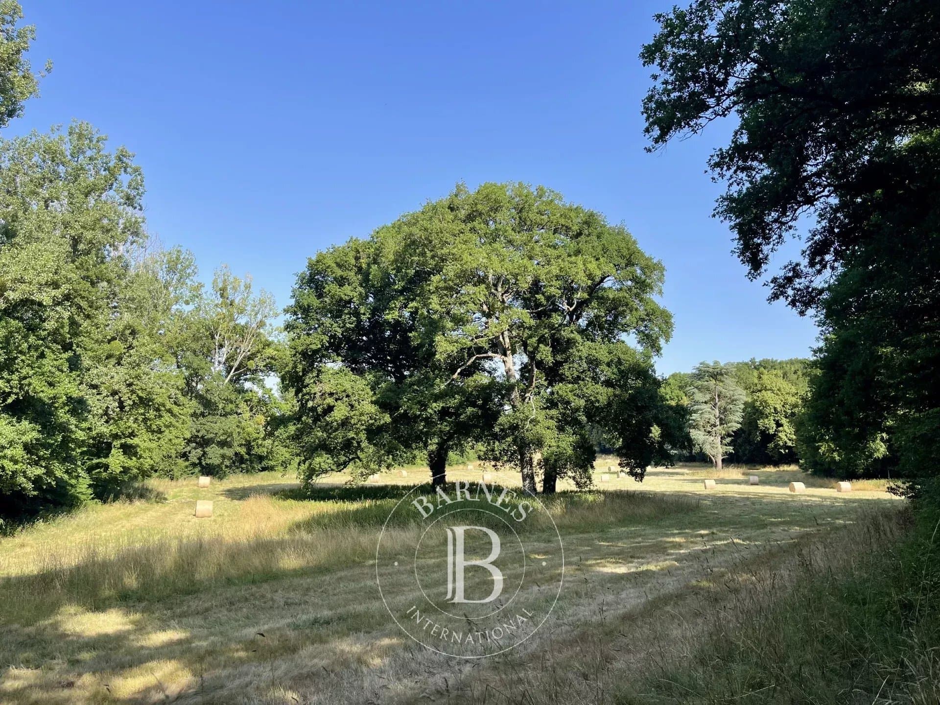 Historic 12th Century Abbey With 85 Hectares Of Land 3