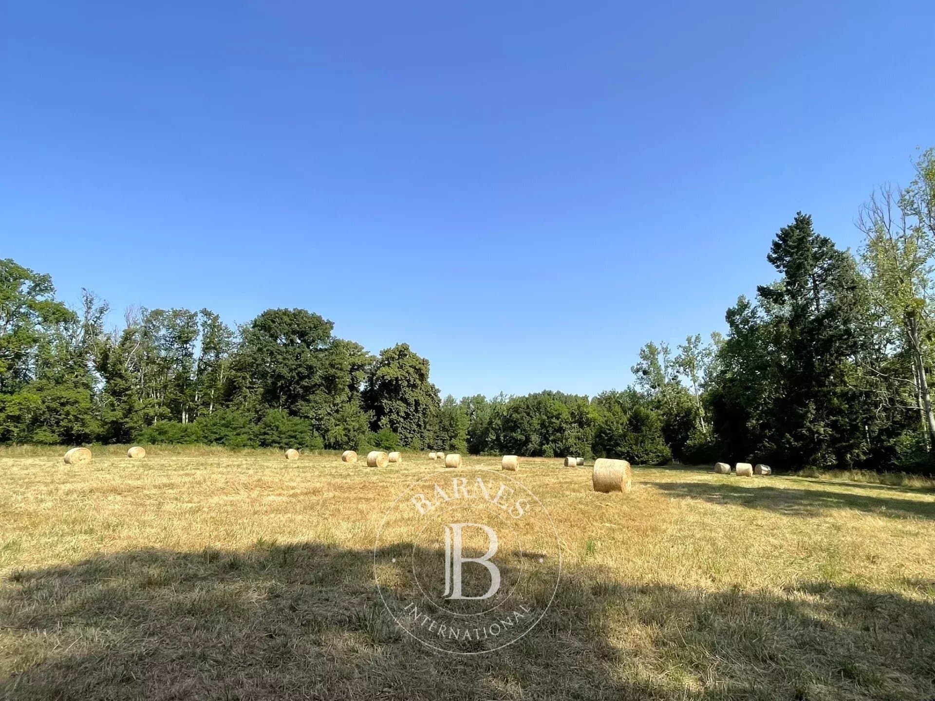 Historic 12th Century Abbey With 85 Hectares Of Land 4