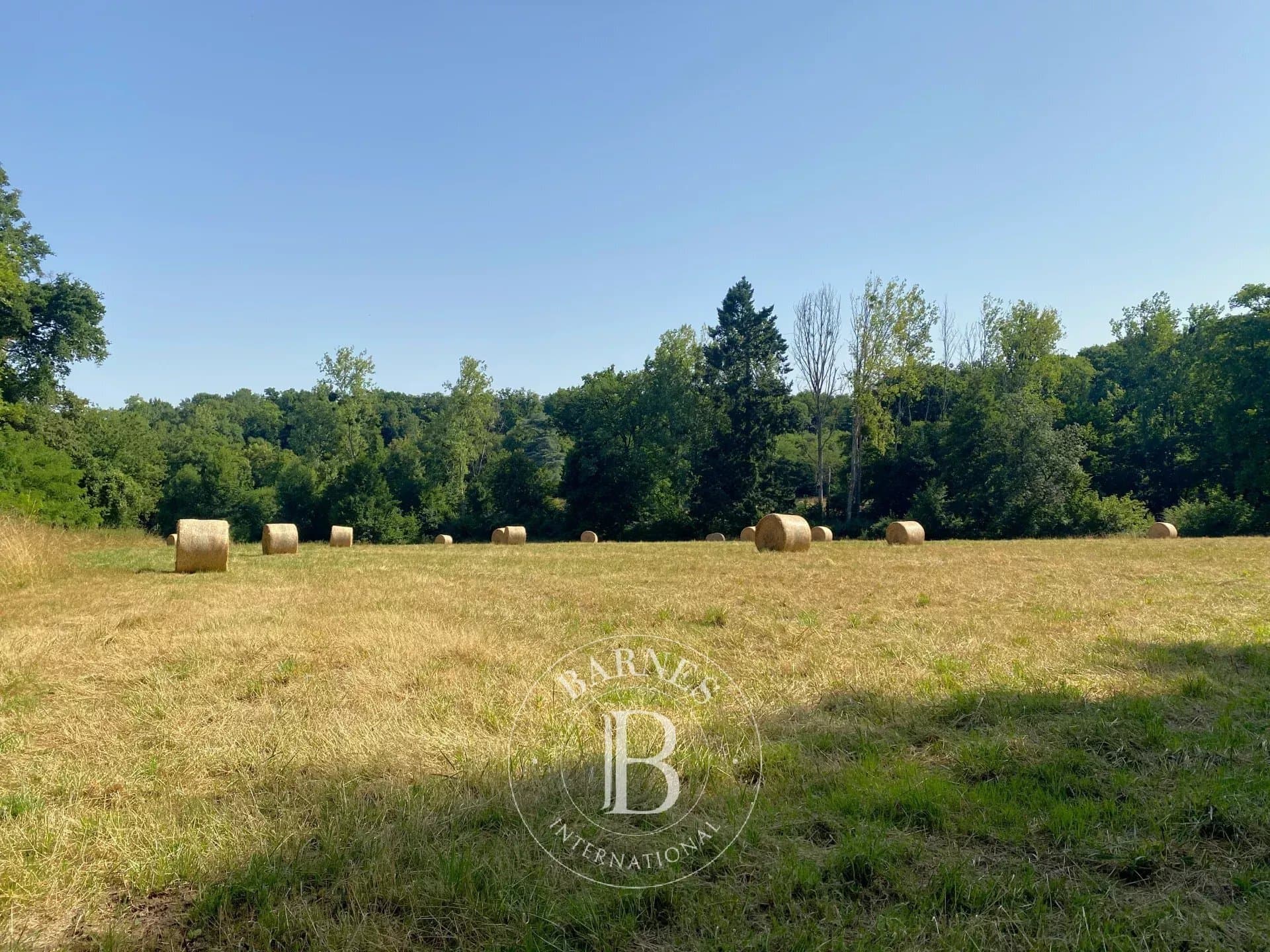 Historic 12th Century Abbey With 85 Hectares Of Land 5