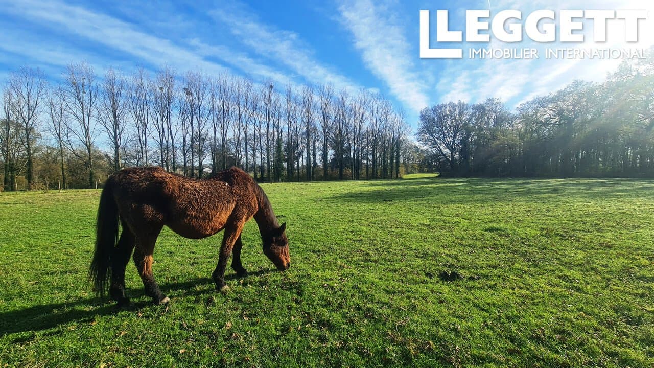 Charming Property on Former Château Site with Meadows and Woods 3