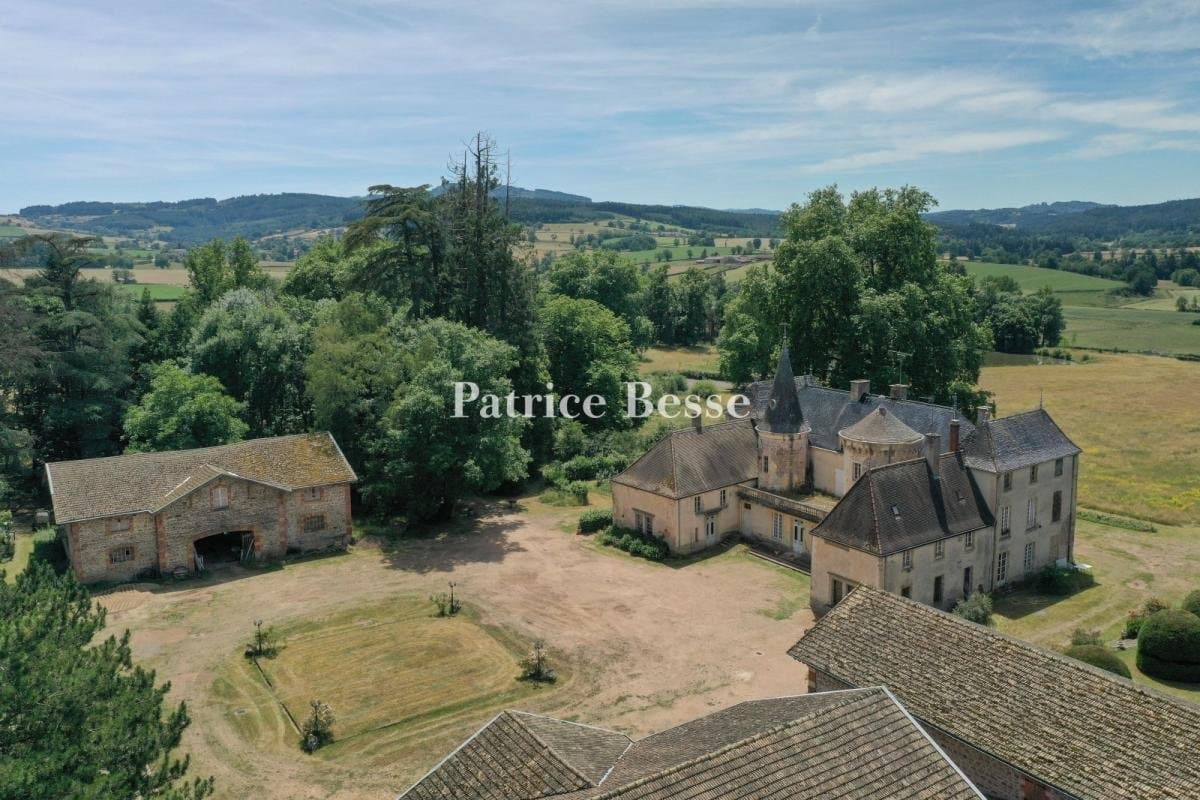 18th And 19th Century Château Estate Awaiting Renovation 4