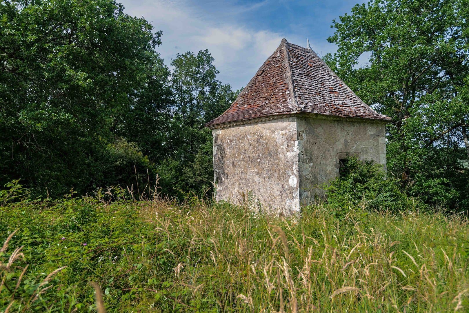19th Century Château With Renovation Potential In The Heart Of Bordeaux Vineyards 5