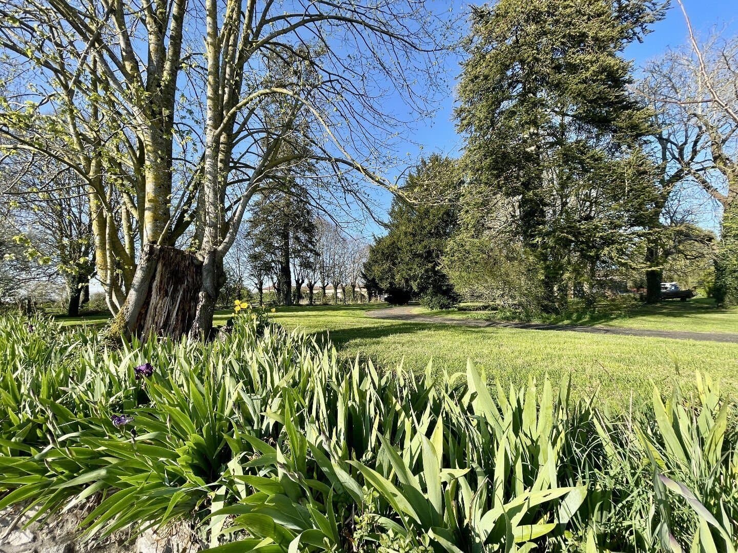 Historic Castle With Heated Indoor Pool And Equestrian Facilities 3