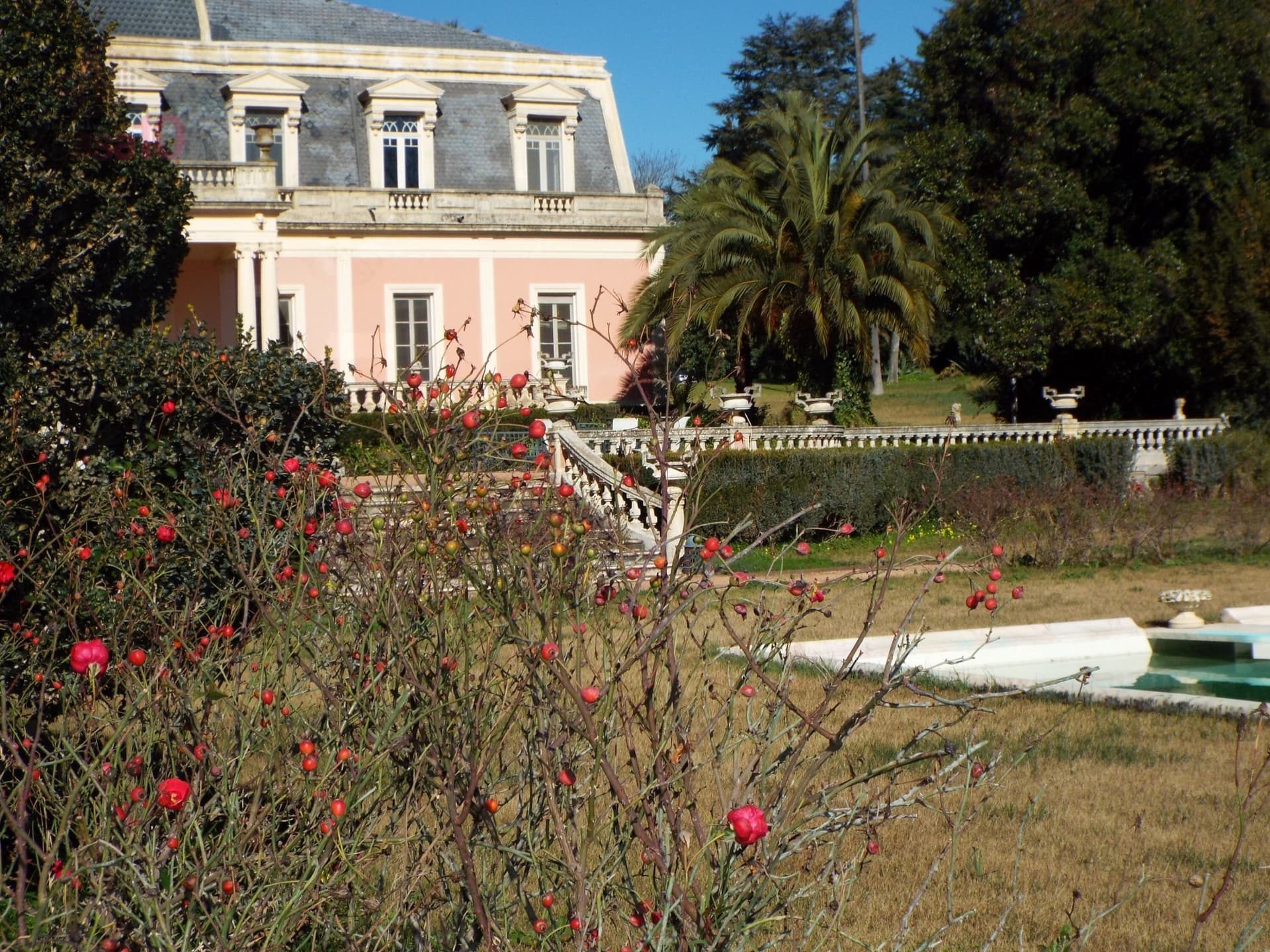 Elegant Palace With Botanic Garden And Equestrian Facilities 5