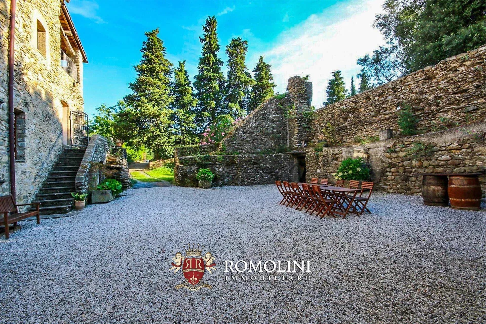 Charming Wine Estate With Medieval Castle And Vineyard 2