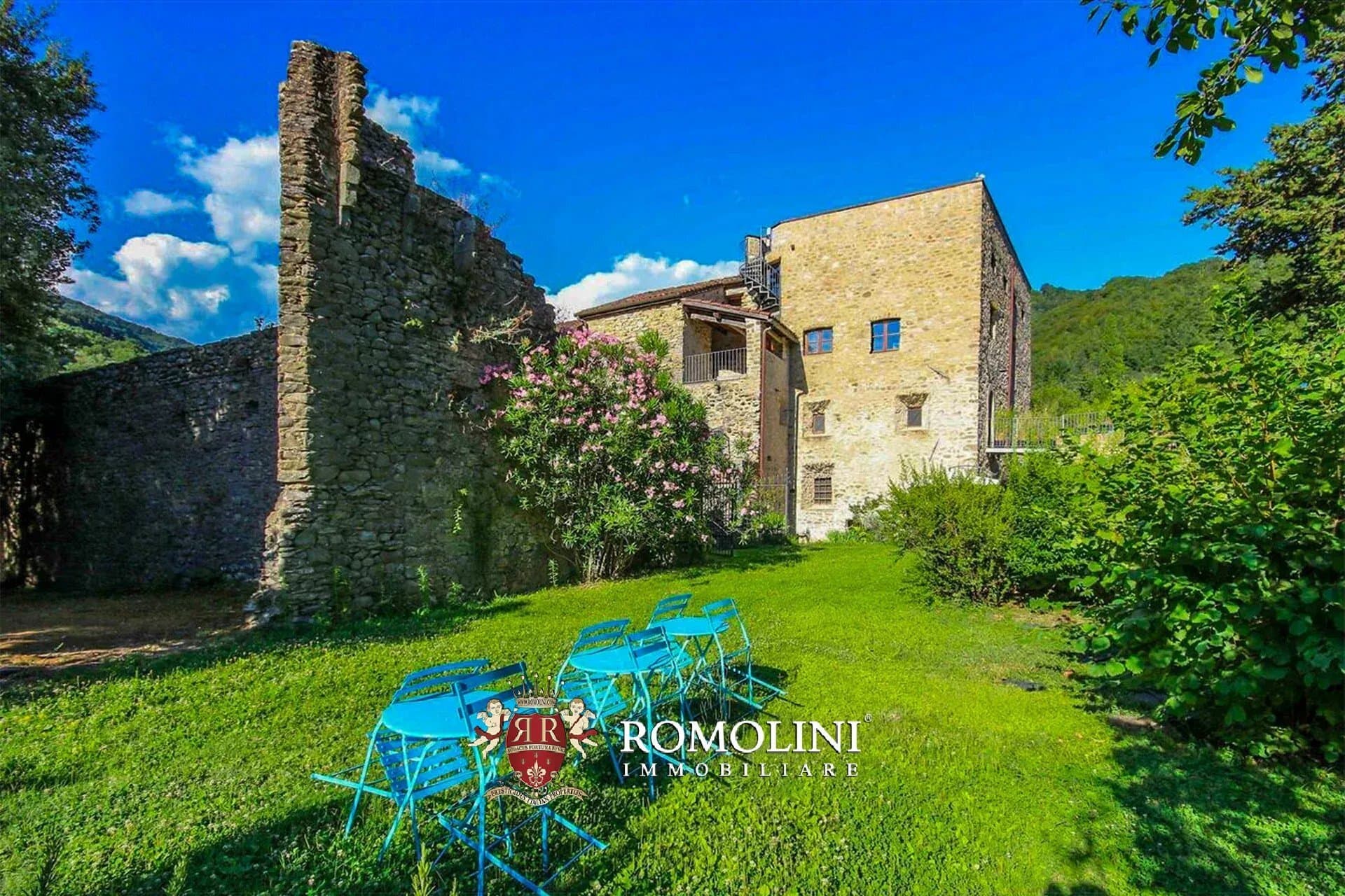 Charming Wine Estate With Medieval Castle And Vineyard 5