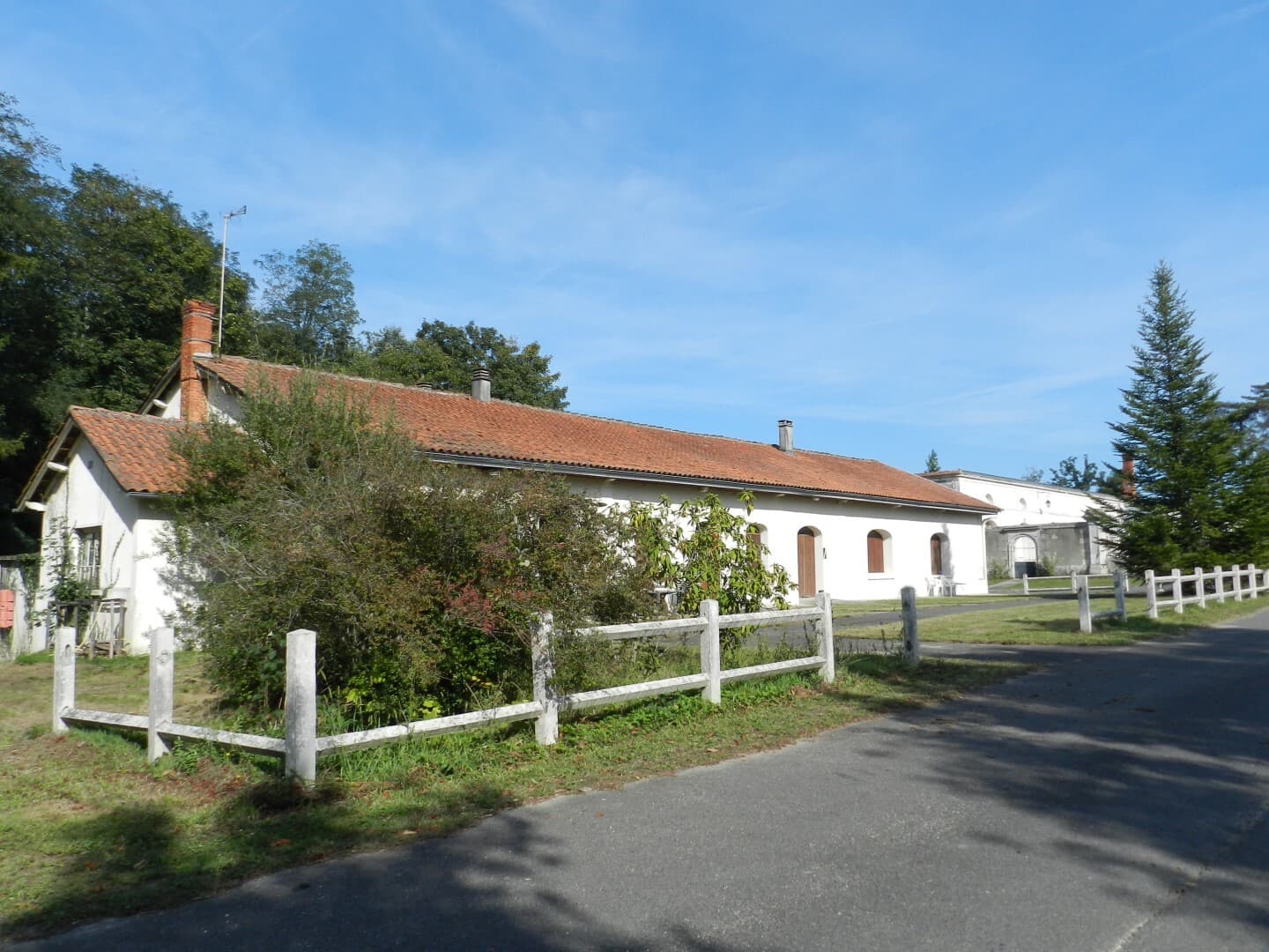 Spacious Castle with 59 Bedrooms and Cellar 5