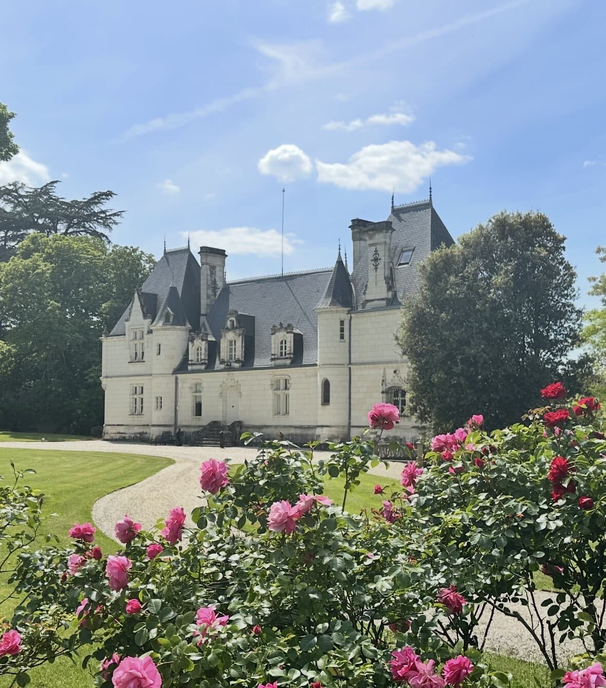 Spacious Castle With 8 Bedrooms And Swimming Pool 2