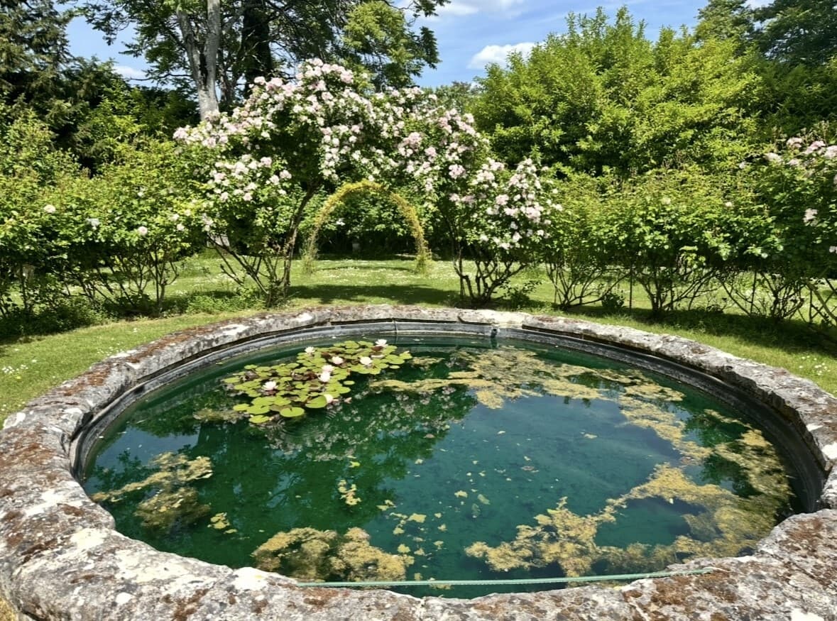Spacious Castle With 8 Bedrooms And Swimming Pool 5